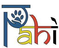 PAHI Logo